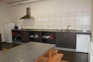 a kitchen with a counter and a sink and a refrigerator at Alma del Camino - Rooms & Albergue in Sarria