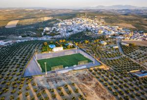 an aerial view of a soccer field in a city at Casa Quico in Higuera de Arjona
