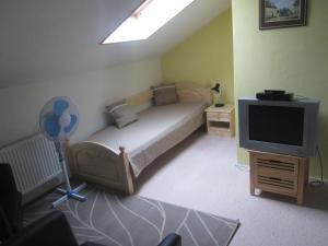 Dormitorio pequeño con cama y TV en Penzion U Holubů Nový Jičín, en Nový Jičín