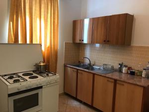 Kuchyň nebo kuchyňský kout v ubytování Guest House "Pisha"