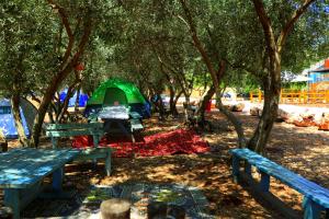 Giardino di נפגשים בחצר בין ההרים - --