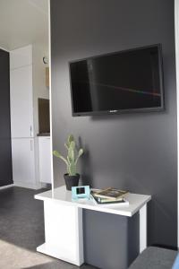 TV a/nebo společenská místnost v ubytování Stadscamping Zeeland