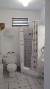 een witte badkamer met een toilet en een douche bij Cherry Tree Apartments in Christ Church
