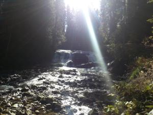 Paesaggio naturale nelle vicinanze dell'affittacamere