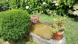 Fotografie z fotogalerie ubytování A Pena de Augasantas v destinaci Oca de Abaixo + 21 fotografií