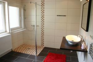 y baño con ducha y lavamanos. en Ferienhaus Sonneneck, en Sebnitz