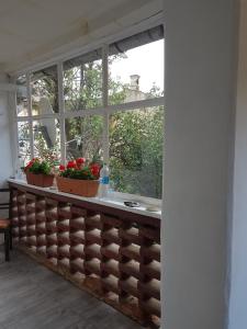 a kitchen counter with two potted plants and a window at Alfa Studio in Sibiu
