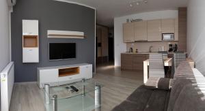 a living room with a couch and a kitchen at Apartamenty Dario in Ostróda