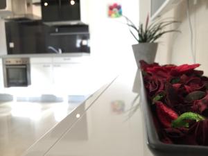 Kuchyň nebo kuchyňský kout v ubytování Apartment im Emmental