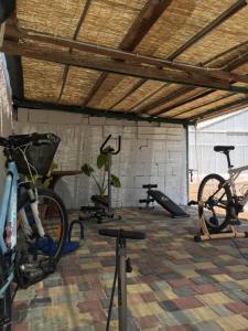 a gym with bikes and weights in a room at AGRIB&B Il Pomo d'oro in Assemini