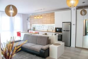 ein Wohnzimmer mit einem Sofa und einer Küche in der Unterkunft Riverside-Modern apartment-ARED in Oradea