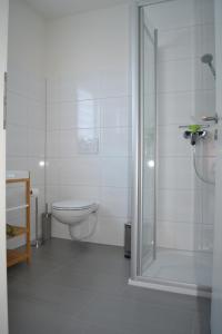 a bathroom with a toilet and a glass shower at Walnusshof Bad Salzungen in Bad Salzungen +20 photos