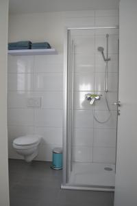 a bathroom with a shower and a toilet at Walnusshof Bad Salzungen in Bad Salzungen