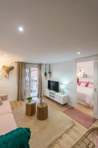 a living room with a bed and a television at Apartamento Luscofusco in Ourense