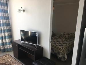 TV a/nebo společenská místnost v ubytování Departamento Santiago 1148