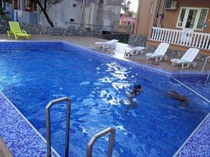 a dog swimming in a large blue swimming pool at Guesthouse Natali in Gonio