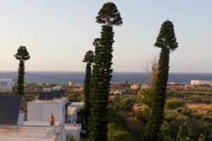 a group of cypress trees in front of a building at Villa Marina in Hersonissos