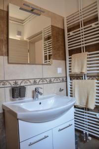 a bathroom with a white sink and a mirror at Farm Stay Zevnik in Brežice