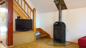 un soggiorno con stufa a legna e TV di Vineyard Cottage Lustek a Novo Mesto