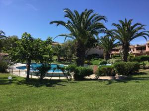 un complejo con piscina y palmeras en Résidence Playa Del'Oro, en Favone