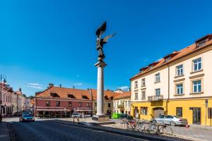 eine Statue an einem Mast in der Mitte einer Straße in der Unterkunft Angel House Vilnius 40 in Vilnius
