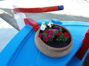 a pot of flowers sitting on a table at Effie Hotel in Skala
