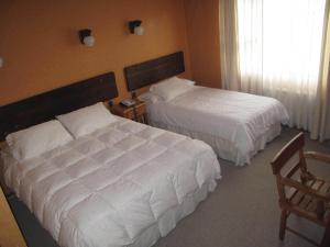 Postel nebo postele na pokoji v ubytování Hotel Saltos del Paine