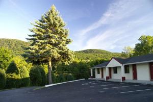 a building with a tree in a parking lot at Appalachian Motel in Vernon