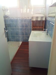 ein kleines Badezimmer mit Waschbecken und Dusche in der Unterkunft Maison du Port in Narbonne-Plage