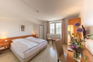 1 dormitorio con cama, escritorio y mesa en Hôtel de la Rose, en Fribourg