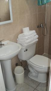 uma casa de banho com um WC branco e um lavatório. em Departamentos Arlenne II em Valdivia