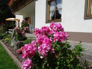 Alpenfrieden - Nauders في ناودرس: حفنة من الزهور الزهرية أمام المنزل