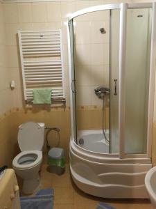 Koupelna v ubytování Гостевой дом Юран + 31 fotografií