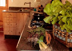 eine Küche mit einem Haufen Gemüse auf der Theke in der Unterkunft Casica de Perintín Cottage in Ricote