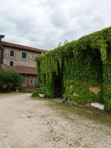 a building covered in green ivy next to a building at Agriturismo Antiche Mura in Jesolo