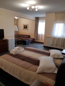 ein großes Schlafzimmer mit 2 Betten und einem Sofa in der Unterkunft Liberty Rooms in Făgăraş