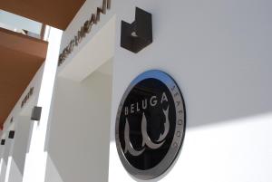 Certifikát, hodnocení, plakát nebo jiný dokument vystavený v ubytování Hotel Moli Boutique