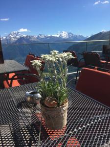 Billede fra billedgalleriet på Hotel Belalp i Belalp