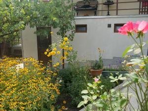Giardino di Luxury Apartment at Pirosmani 22 in central Borjomi
