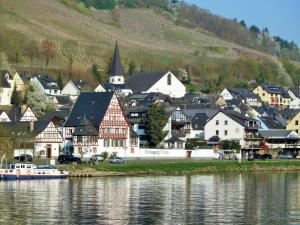 Gallery image of Mosel Ausblick in Zell an der Mosel