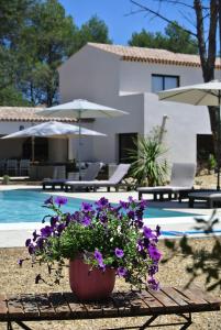 een potplant op een tafel naast een zwembad bij Villa CARPE DIEM in Lorgues