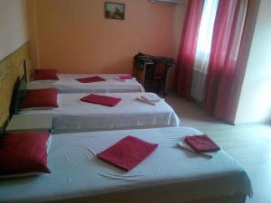 Afbeelding uit fotogalerij van Pensiunea Nicol Tulcea in Tulcea