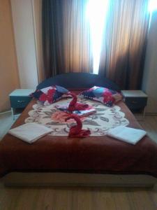 Afbeelding uit fotogalerij van Pensiunea Nicol Tulcea in Tulcea +31 foto's