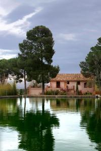 a house sitting next to a lake with a tree at Mas del Molí in Reus
