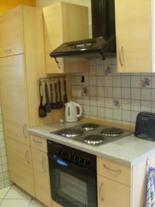 Kuchyň nebo kuchyňský kout v ubytování Ferienwohnung Mörlenbach