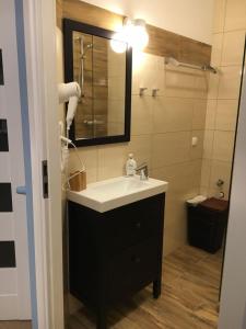 a bathroom with a sink and a mirror at Solankowe Zacisze in Inowrocław