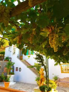 a statue of a lion under a tree with grapes at B&B Il Grappolo in Anacapri