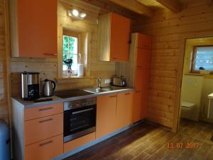 uma cozinha com armários laranja e um lavatório numa cabana de madeira em Ferienhaus Blick Hasserode em Wernigerode