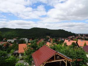 uma vista para uma cidade com uma montanha ao fundo em Ferienhaus Blick Hasserode em Wernigerode