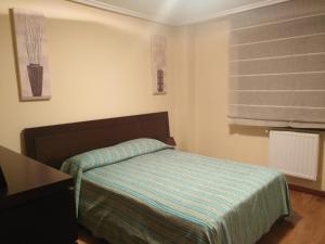 ein kleines Schlafzimmer mit einem Bett und einem Fenster in der Unterkunft Piso Velázquez in Gijón